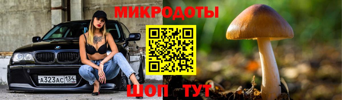 Галлюциногенные грибы прущие грибы Альметьевск